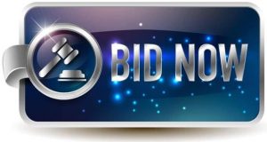 Bid now - Tech Wasi
